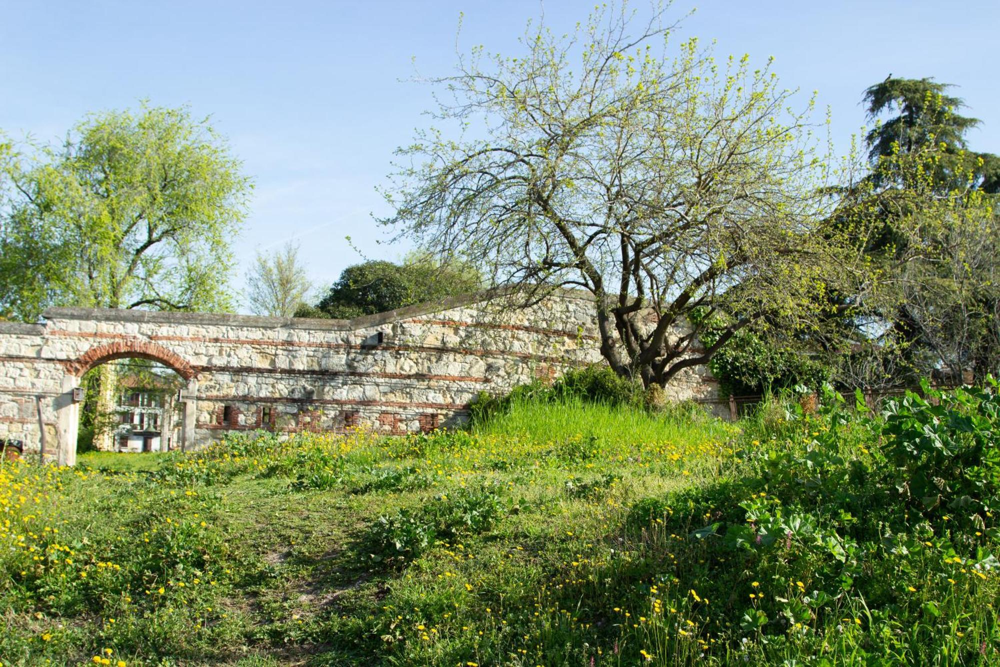 Verona Nest Εξωτερικό φωτογραφία